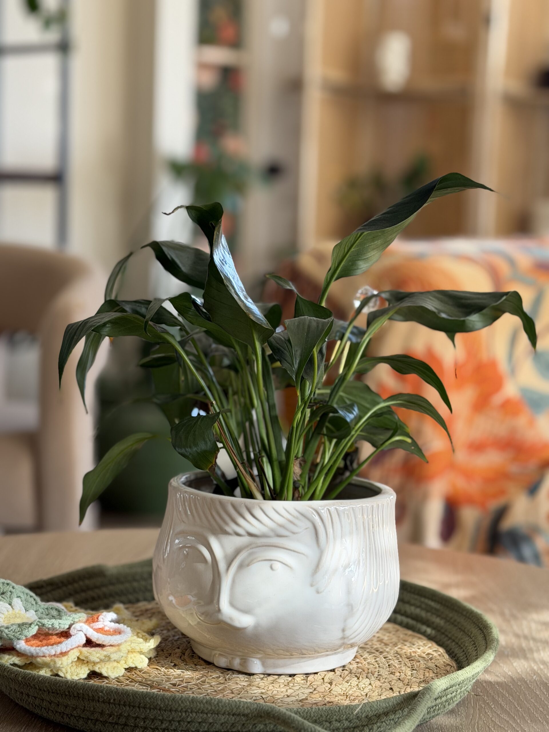 Coffee table styled with plant in ceramic planter on woven tray in a cozy layered living room
