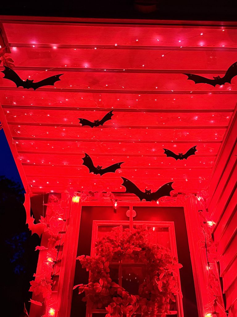 Hanging black bats above a front door decorated with fall leaves and Halloween lights